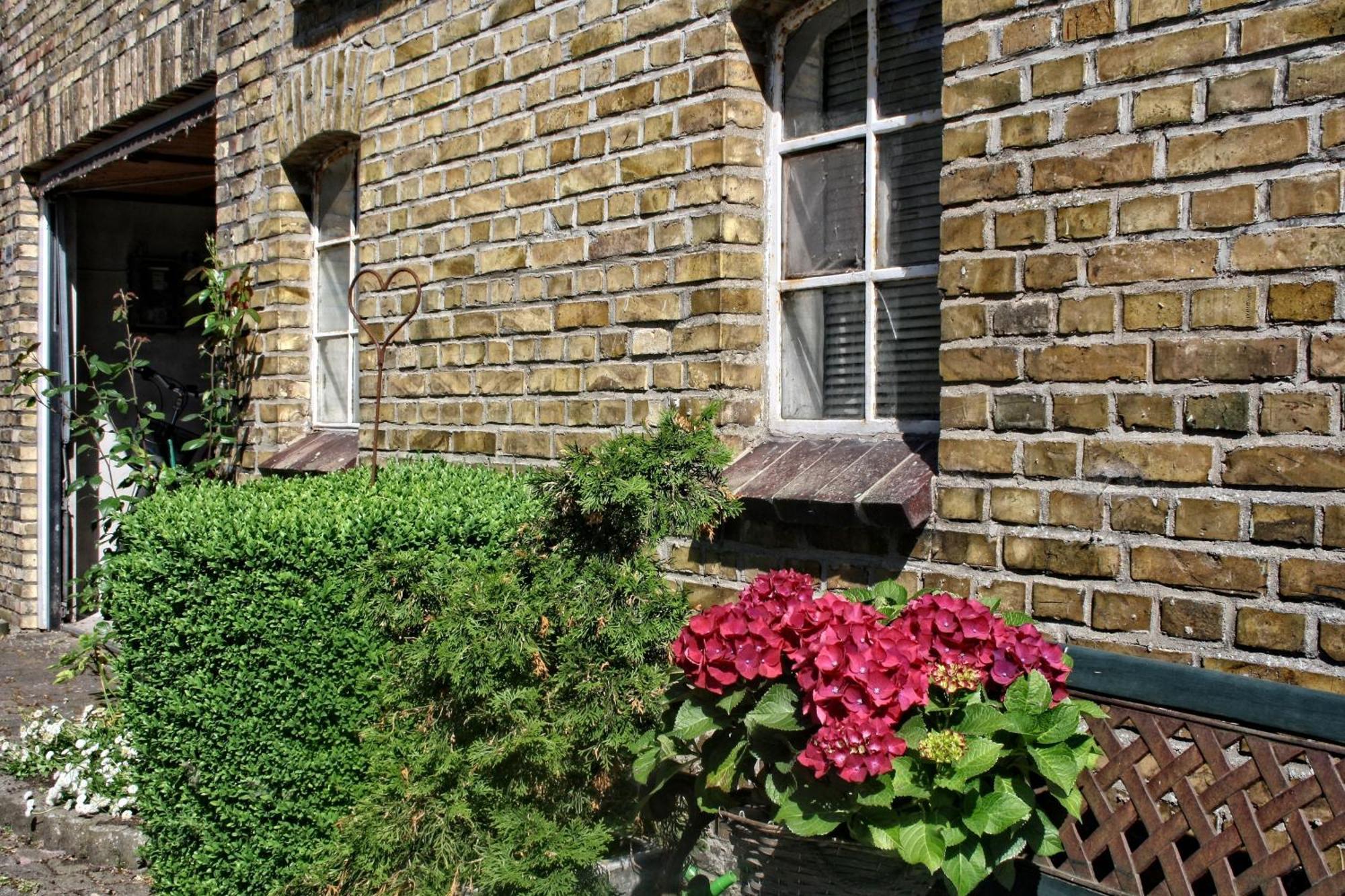Detjens - Fewo In Ruhiger Lage Mit Terrasse Und Garten Ellingstedt エクステリア 写真